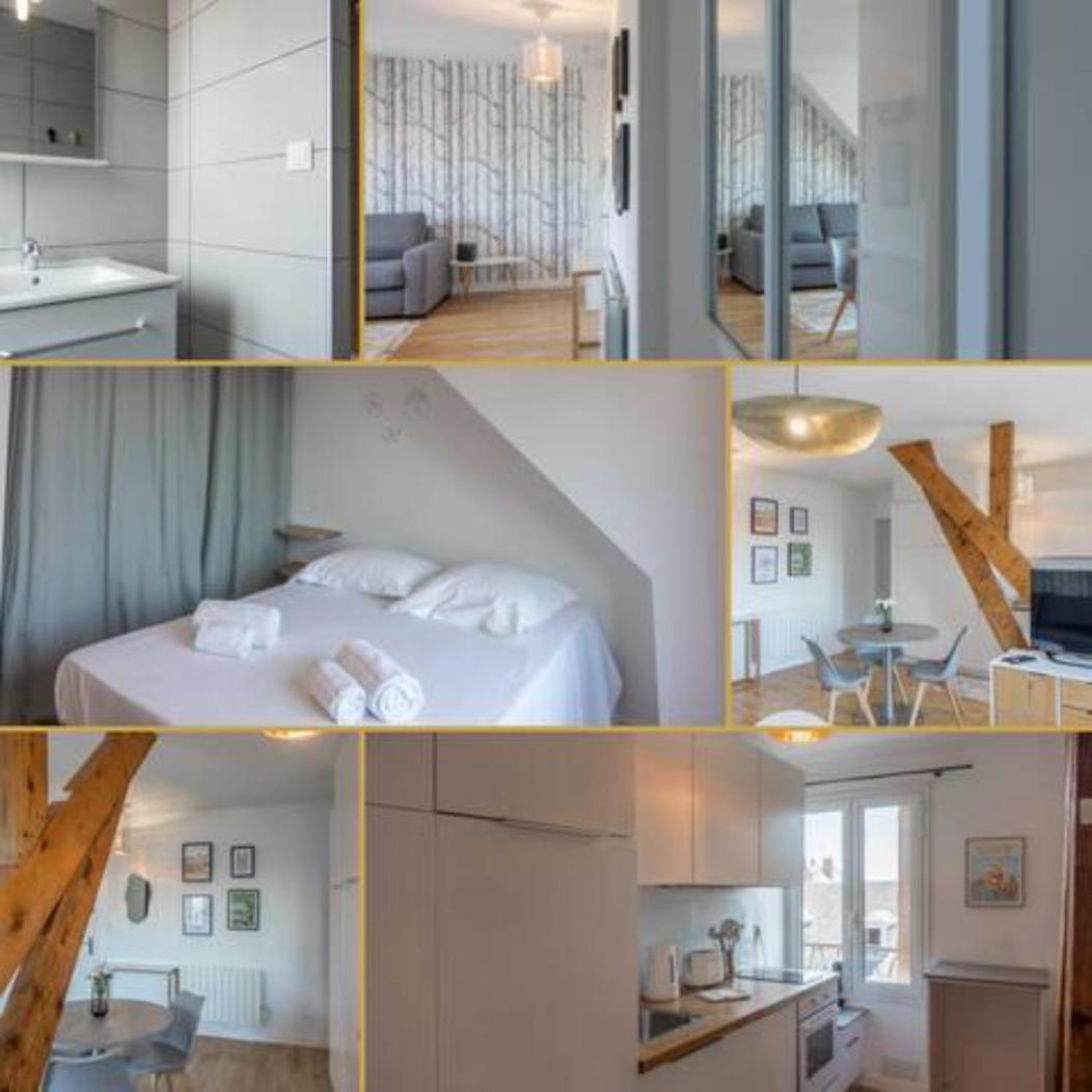 Ferienwohnung Le Vieux Marche *T2* Orléans Exterior foto
